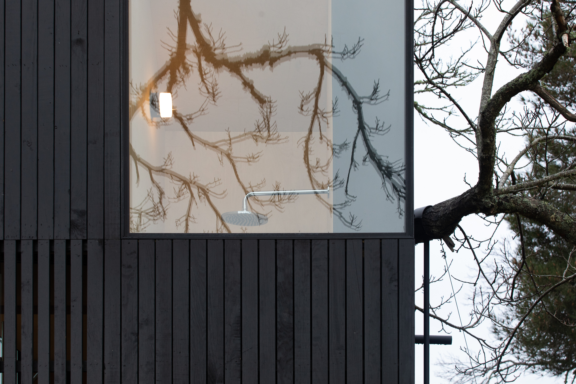 栗树屋丨葡萄牙丨João Mendes Ribeiro-59