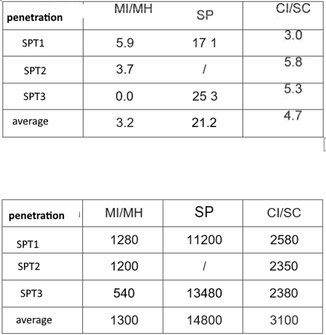 “UNIQUE OHRID”酒店沉降修复技术方案丨TAUS d.o.o.-37
