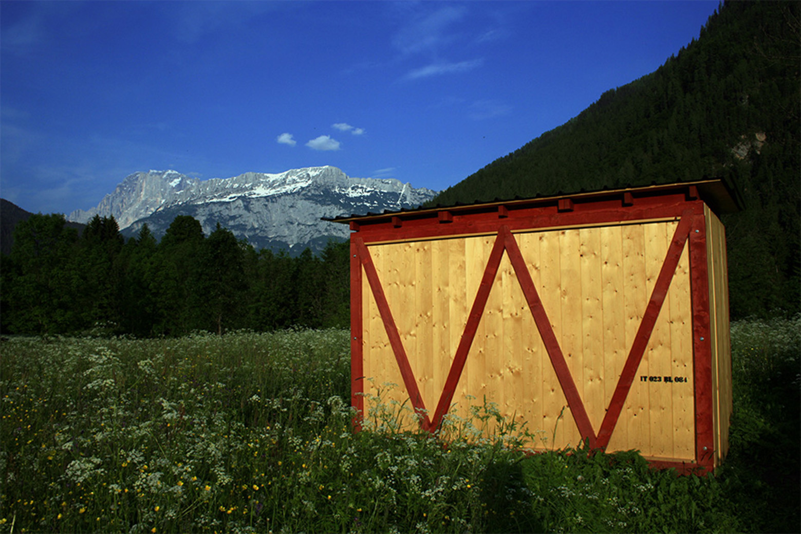 “Binnenhaus”蜜蜂蜂巢设计-20