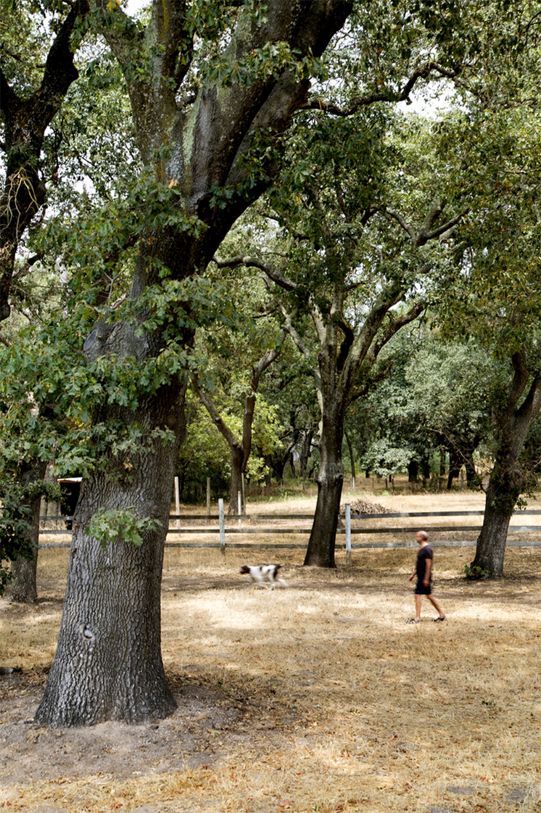 酒庄旁的定制家园——Schwartz and Architecture 的简约环保设计-21