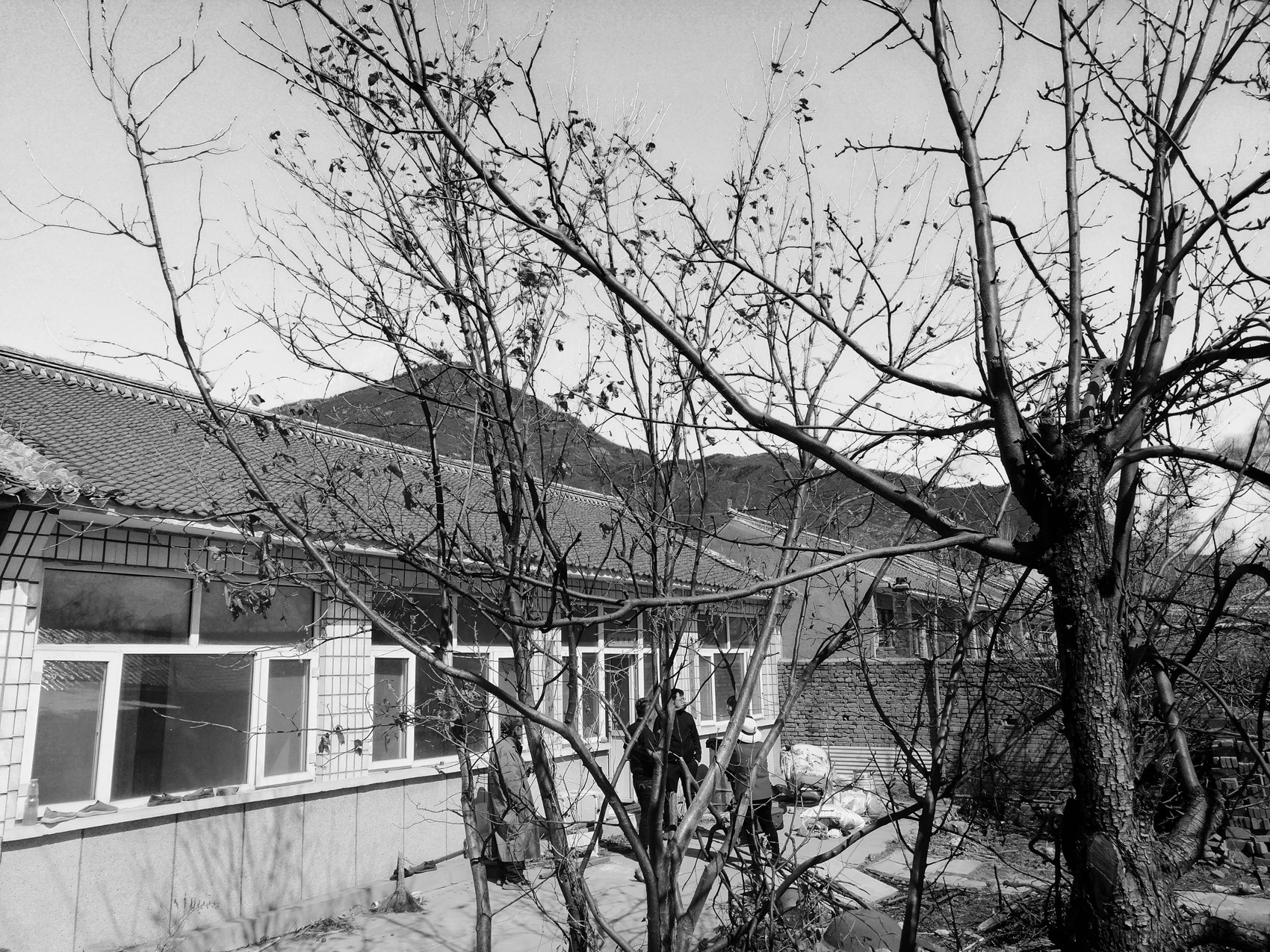 棠巢民宿丨中国北京丨积木盒子建筑设计事务所-8