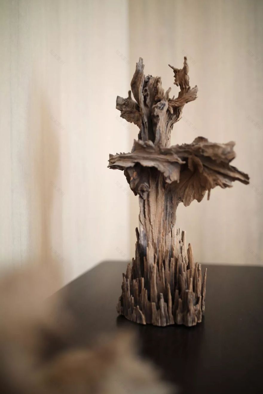 阿尔托式“建筑漫步”——无锡溪隐府地下室改造-103