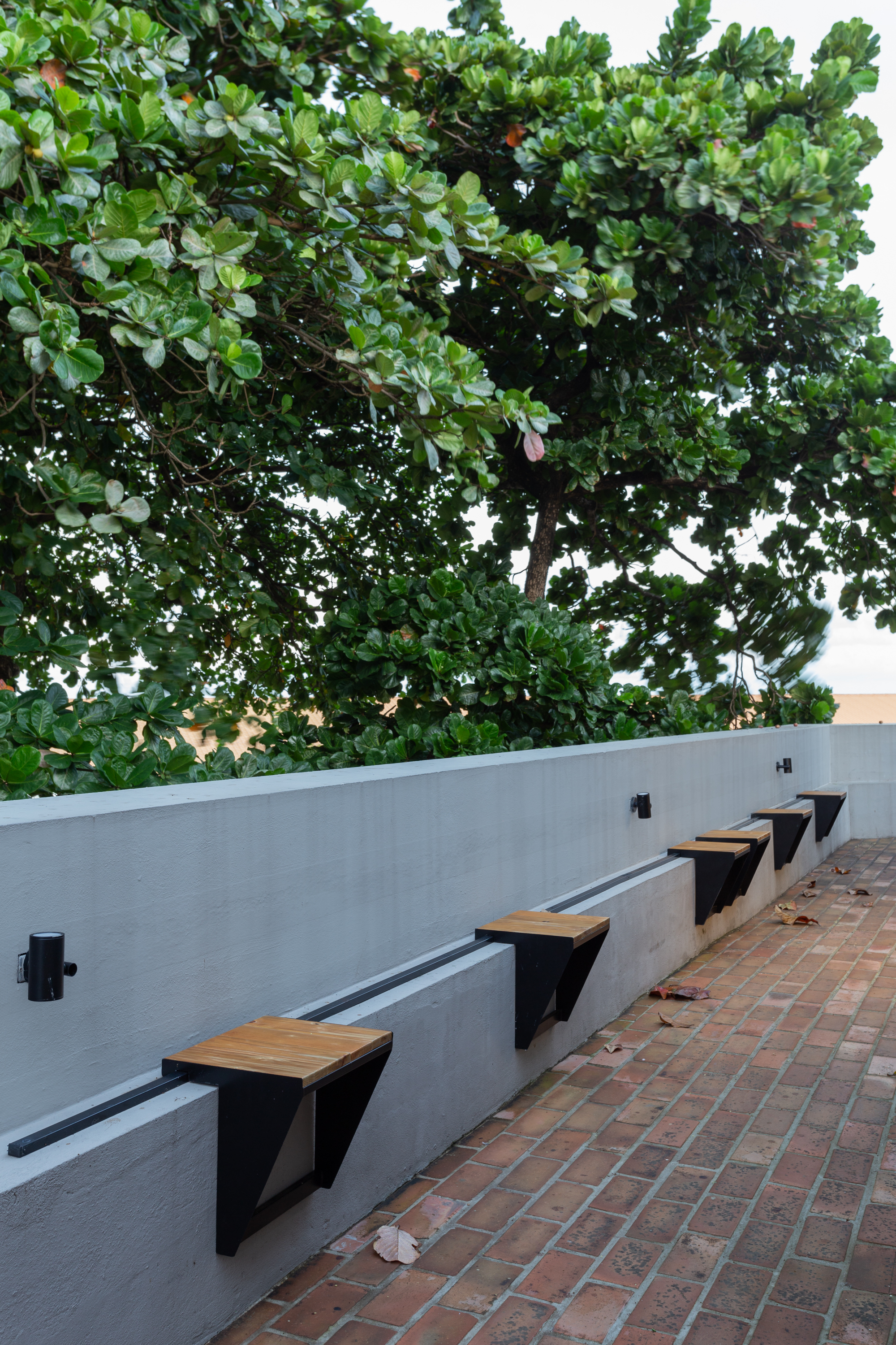 丨巴西伯南布哥-124