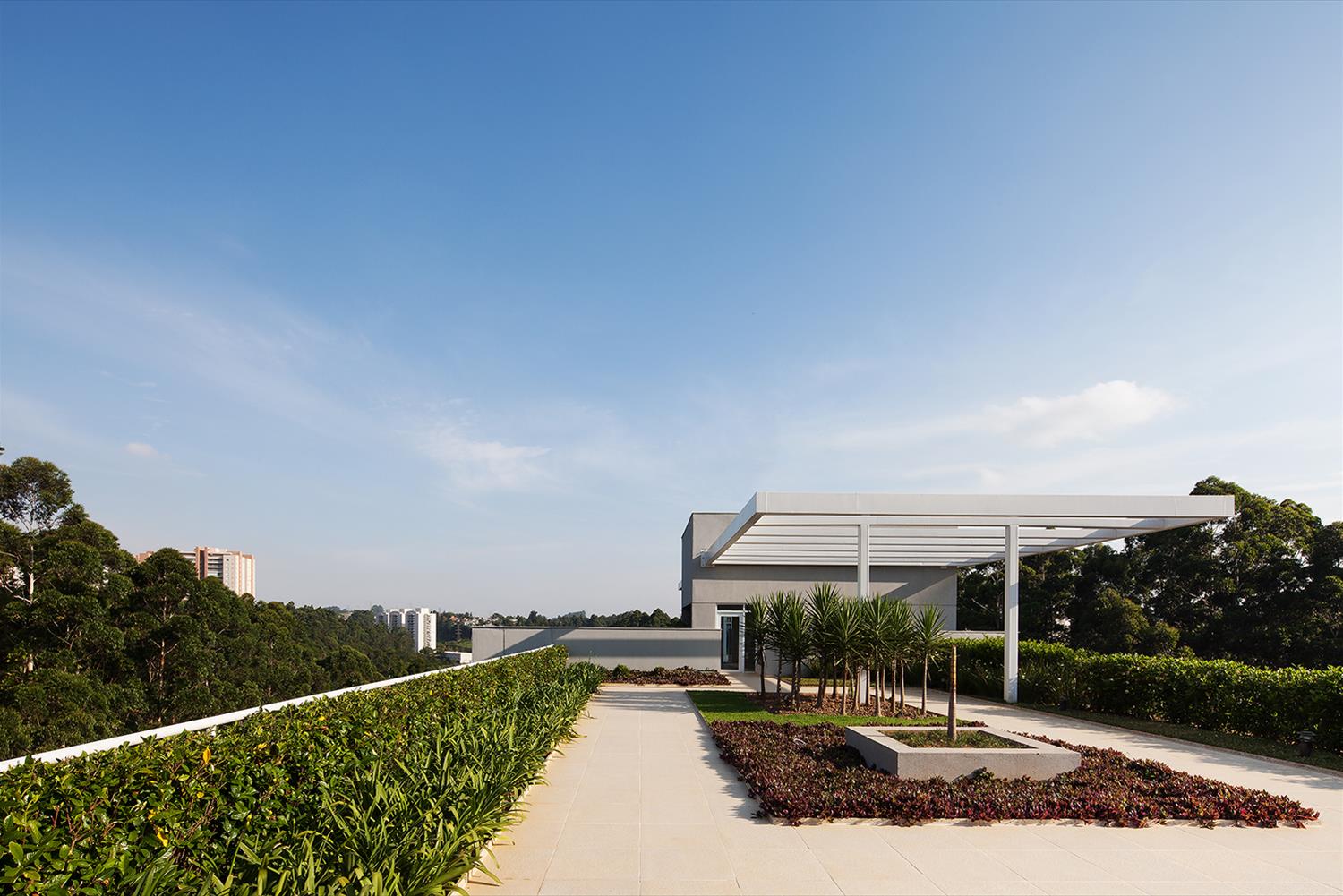 特里·坦博雷-14