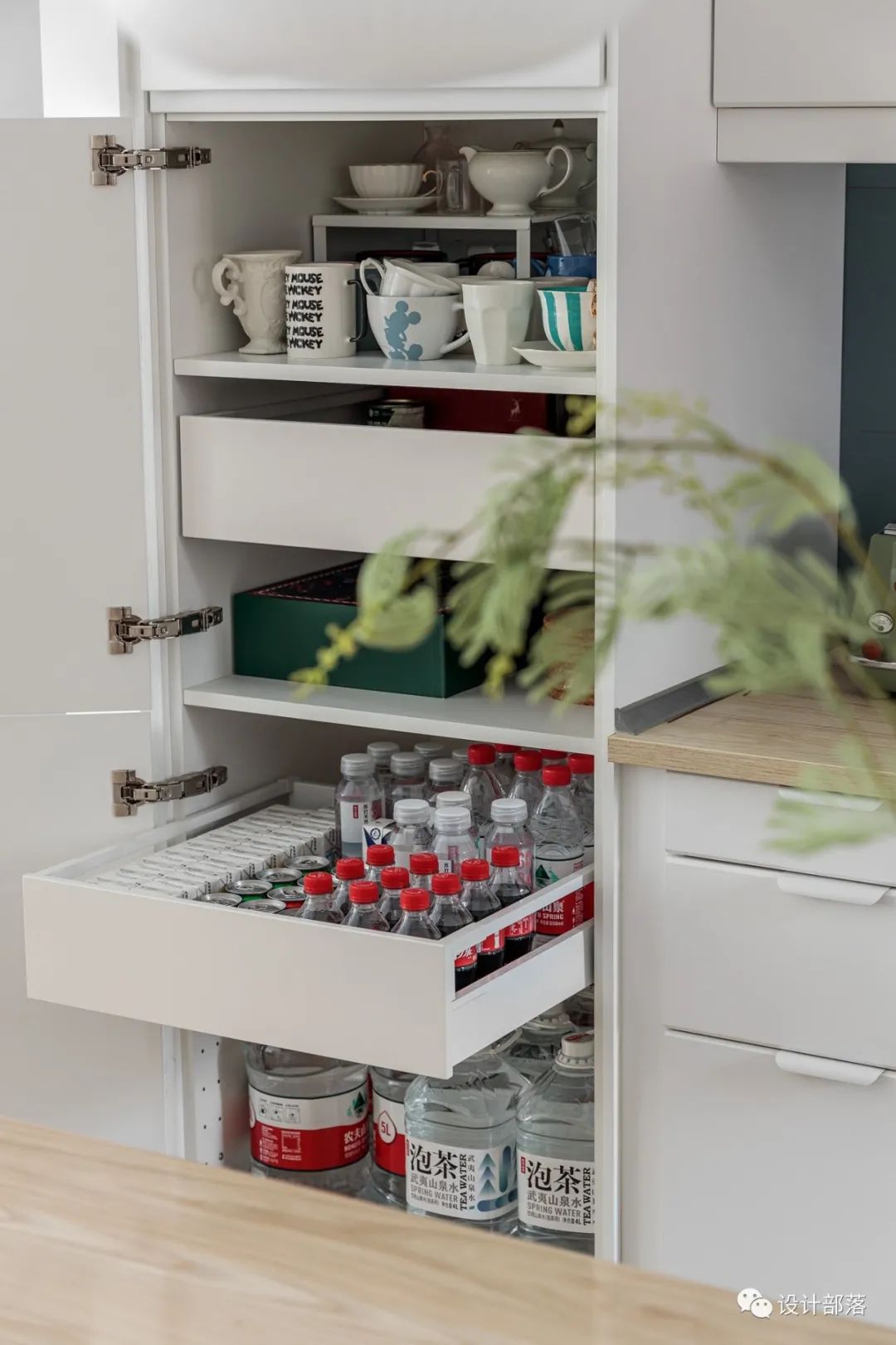 日式猫舍之家丨中国成都-61