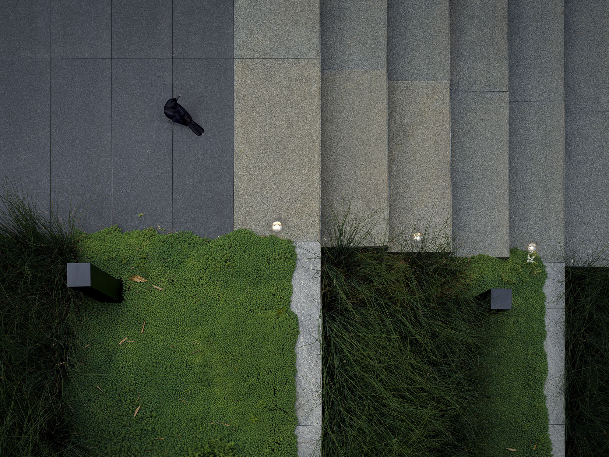 荒野中的明灯 · 宜兴窑湖镇青鱼湖公园丨Change Studio-57