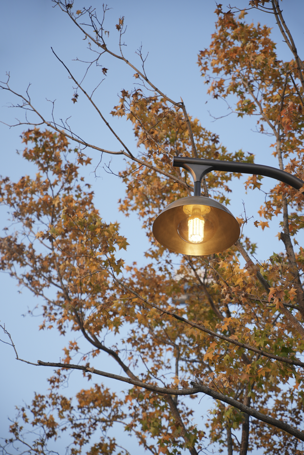 礼序东方 盛京游园 | 沈阳万科·胤樾-126