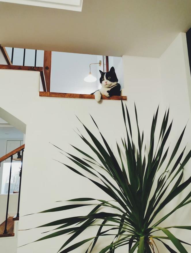 金山花园私宅丨居之设计-16