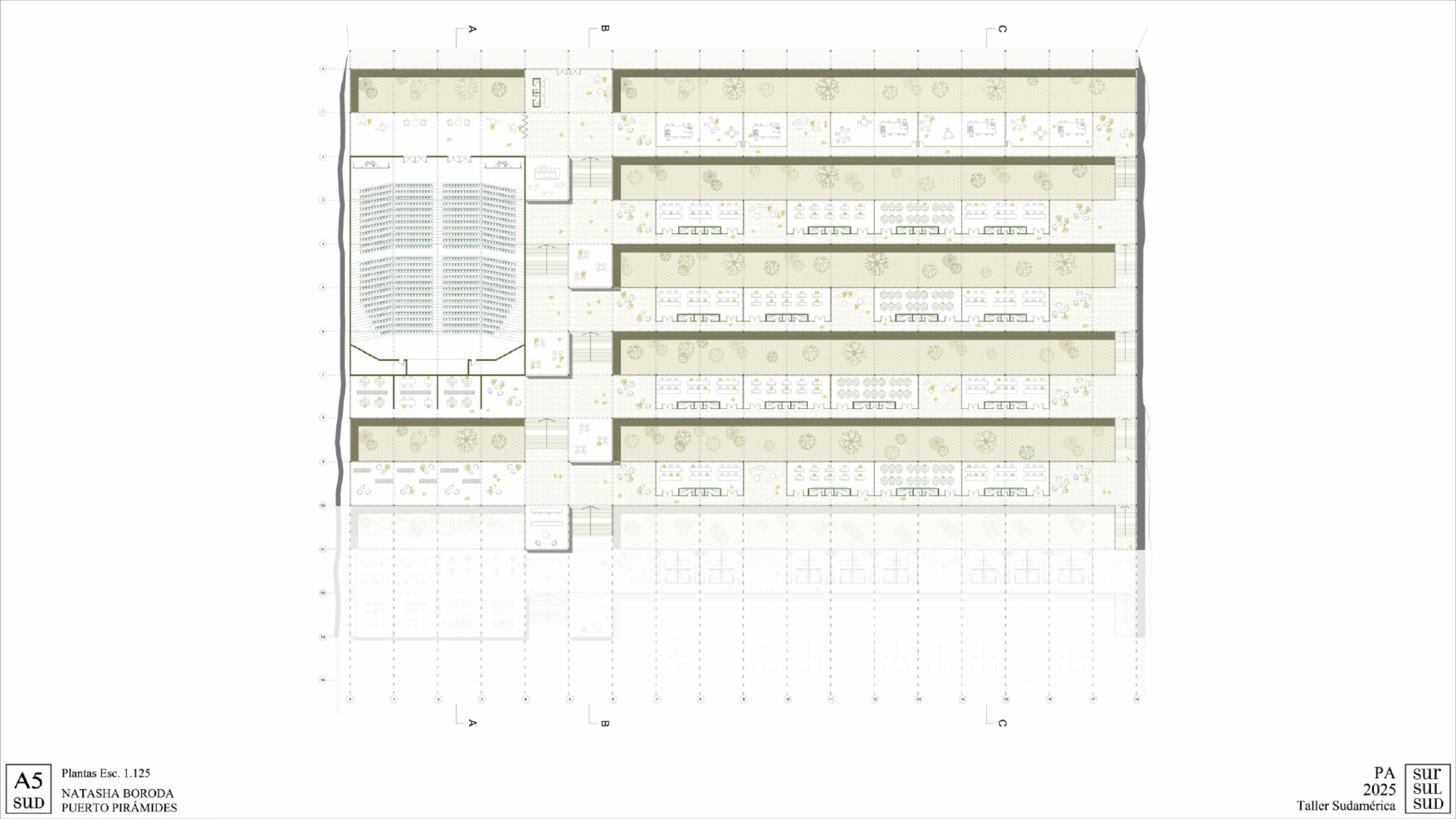 Puerto Pirámide | Centro de Investigacion-19