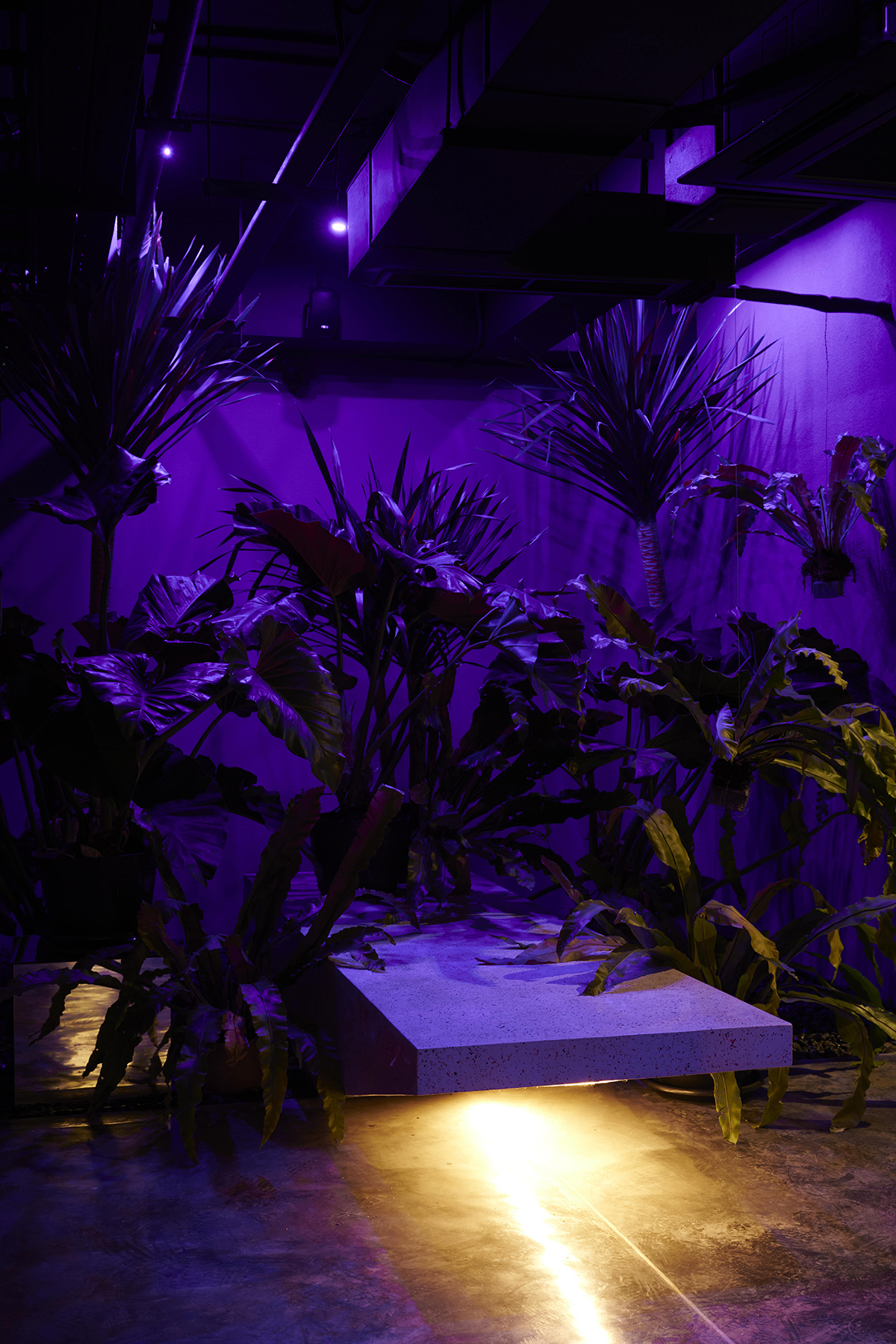 HIDDEN 地下酒吧丨RAD+ar-34