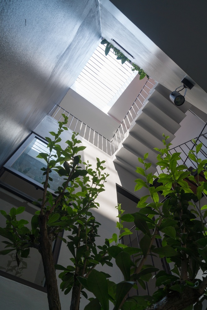 绿意盎然的光之屋-64