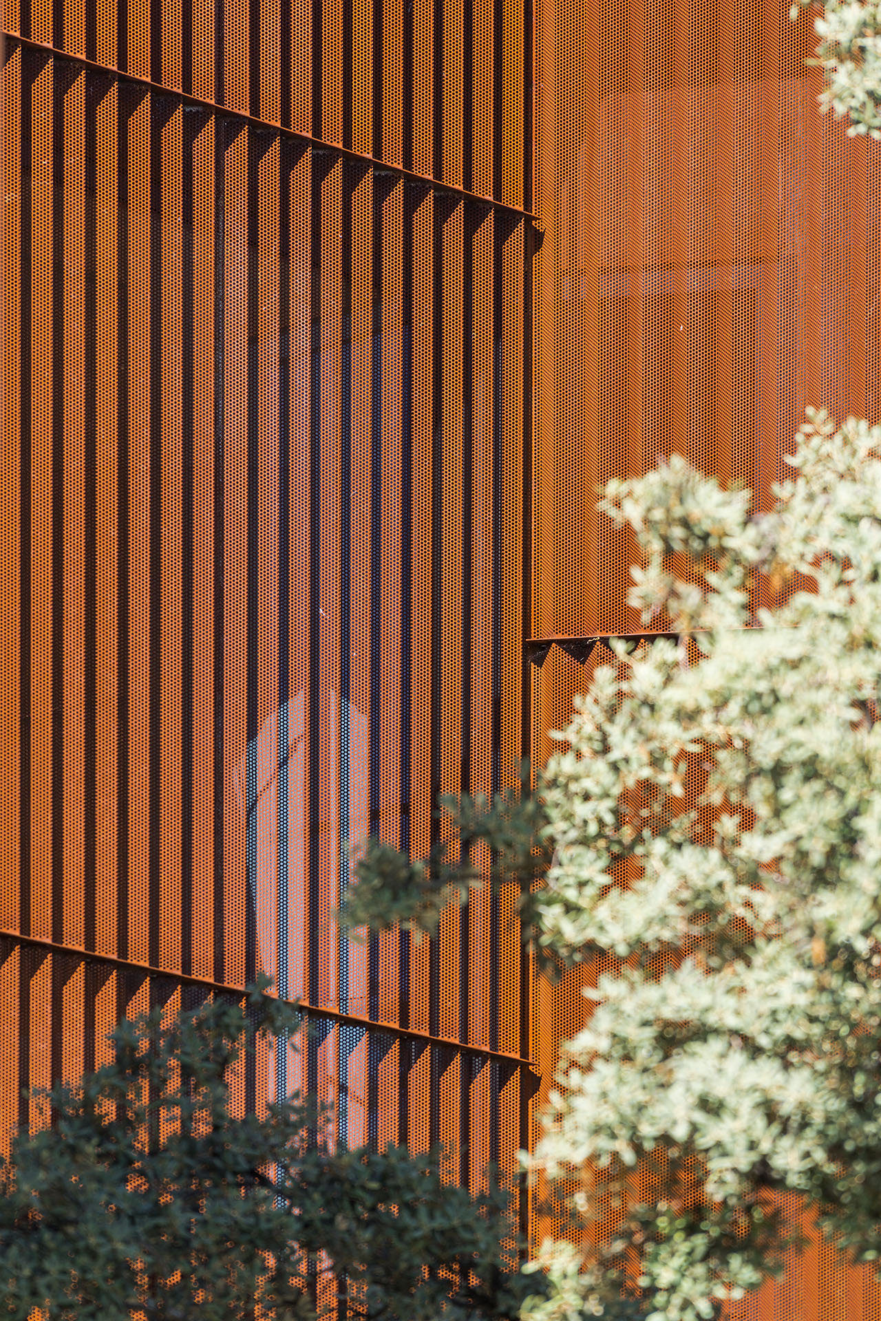 叉子之家丨西班牙马德里丨Imagen Subliminal-29