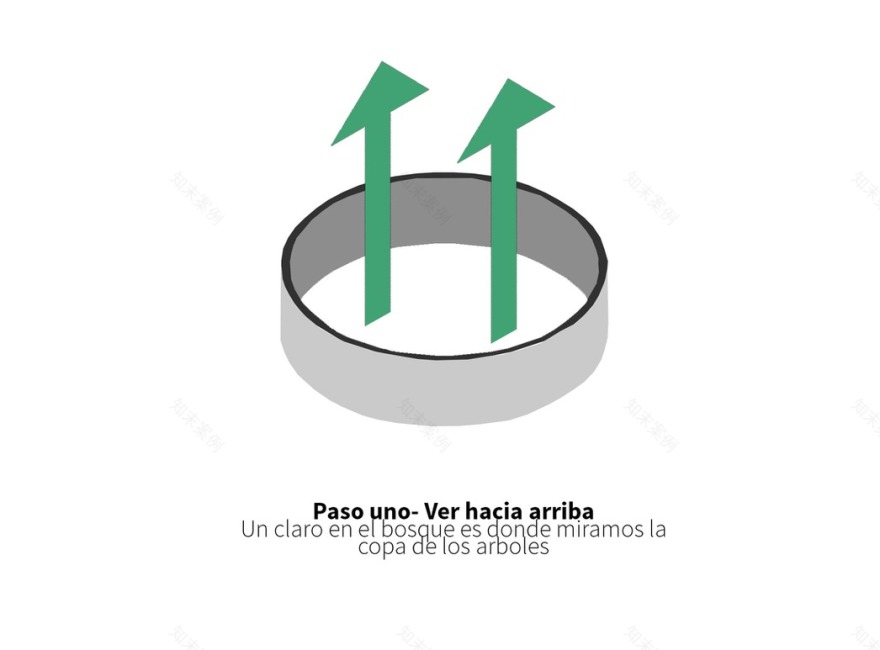 智利森林中的 Moholy 冥想空间丨José Peña-37