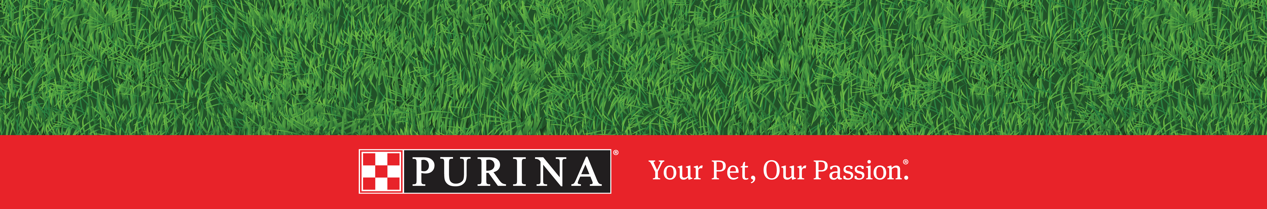 PALLET DISPLAY PURINA-8