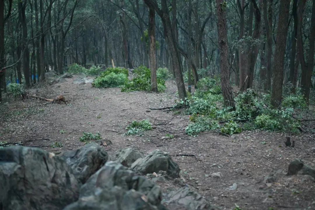 陈海峰  影像纪实 / 东湖之上-18