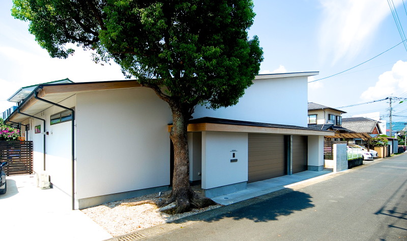 丨日本宫崎丨有限会社COGITE-34