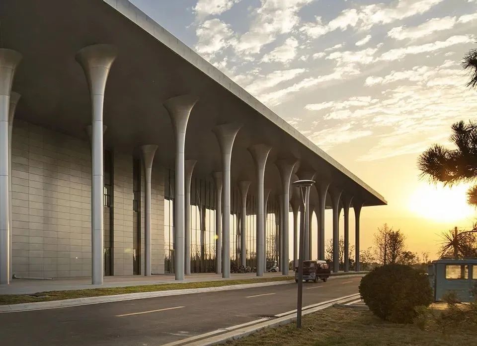 邹城市蘑菇展览馆丨同圆设计集团股份有限公司-0