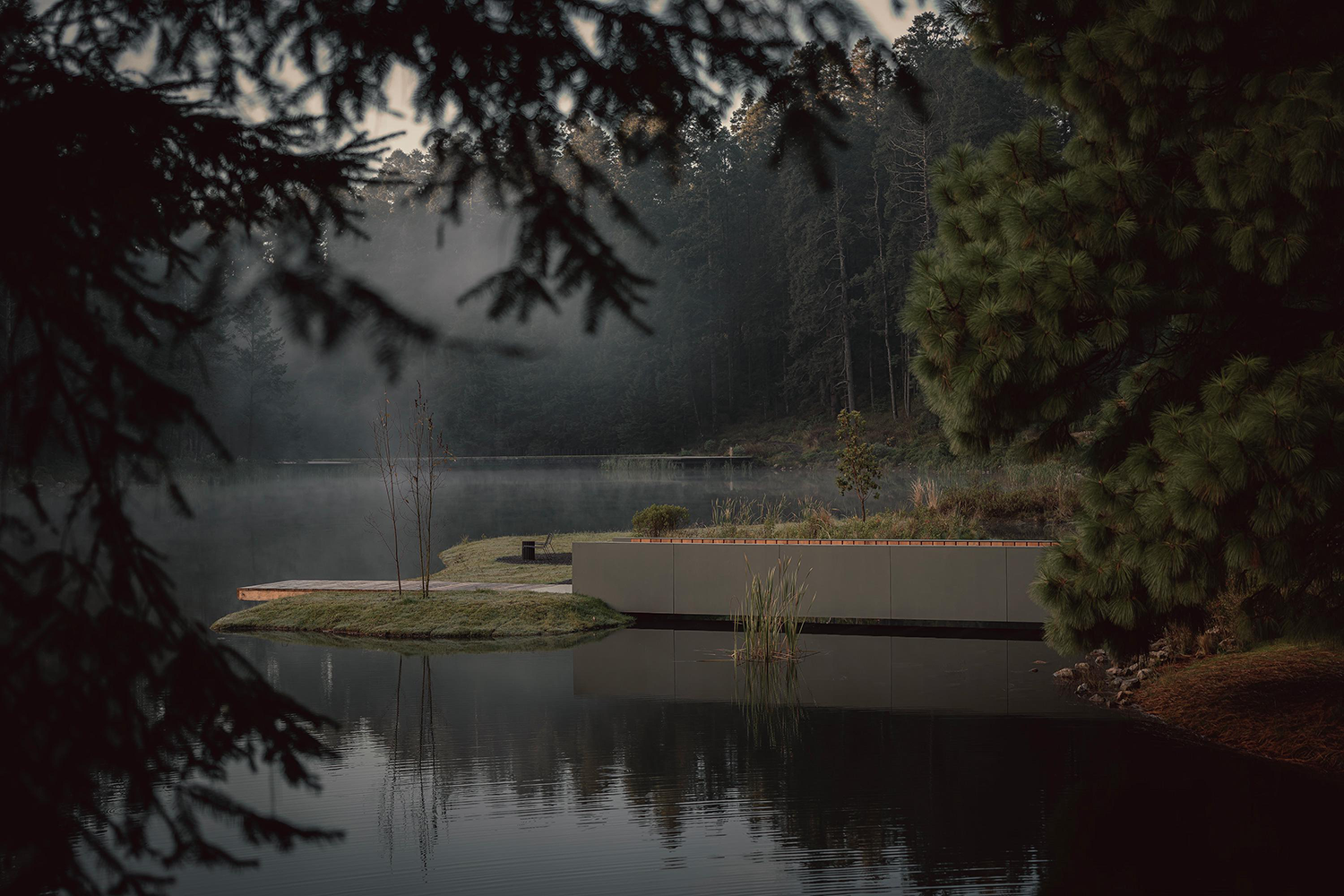 埃尔埃斯皮诺别墅景观丨墨西哥丨Dirección 设计工作室-100