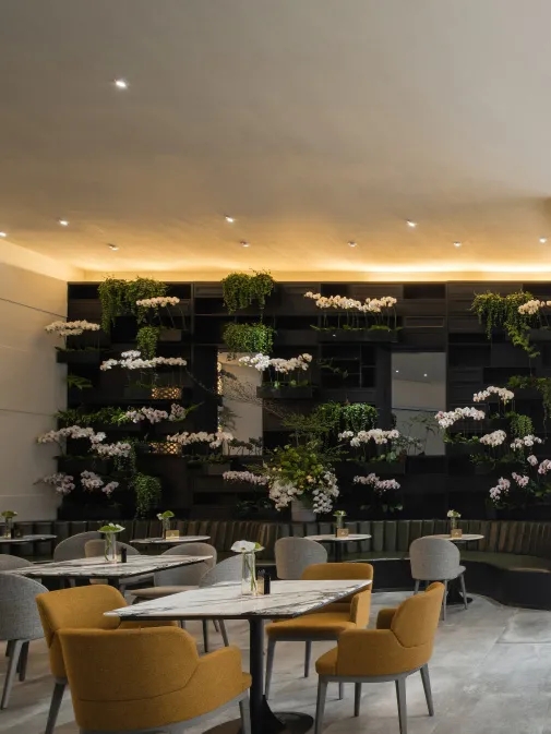 起初 籣丨中国昆明丨寸匠  FF建筑设计有限公司-21