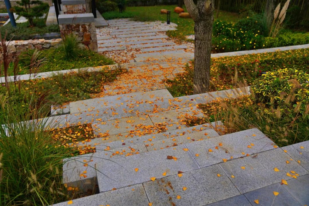 溧阳1号公路黄岗岭服务驿站景观提升丨中国江苏丨上海亦境建筑景观有限公司,上海交通大学设计学院风景园林研究所-33