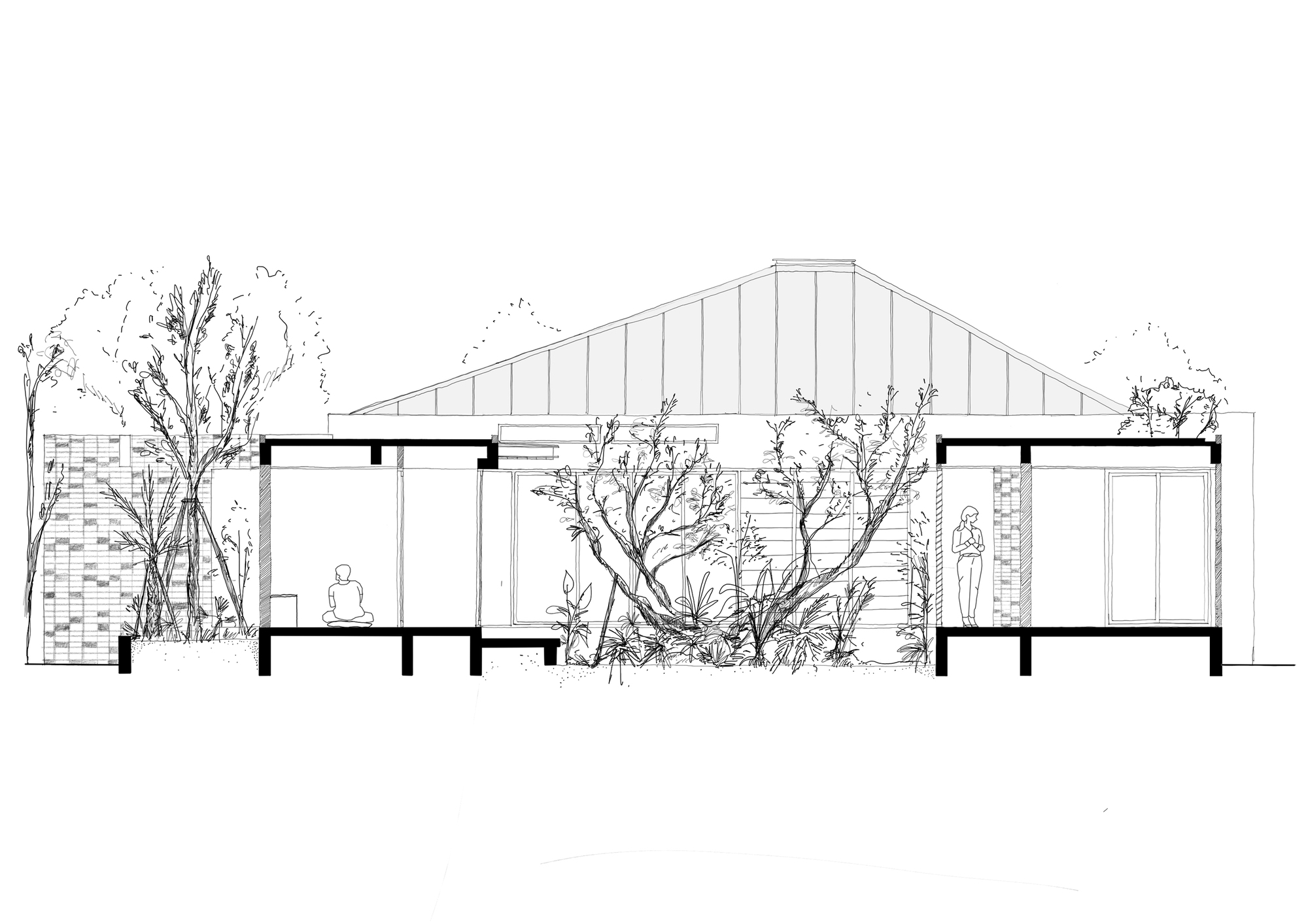 树的房子丨泰国曼谷丨Studio Bewell-11