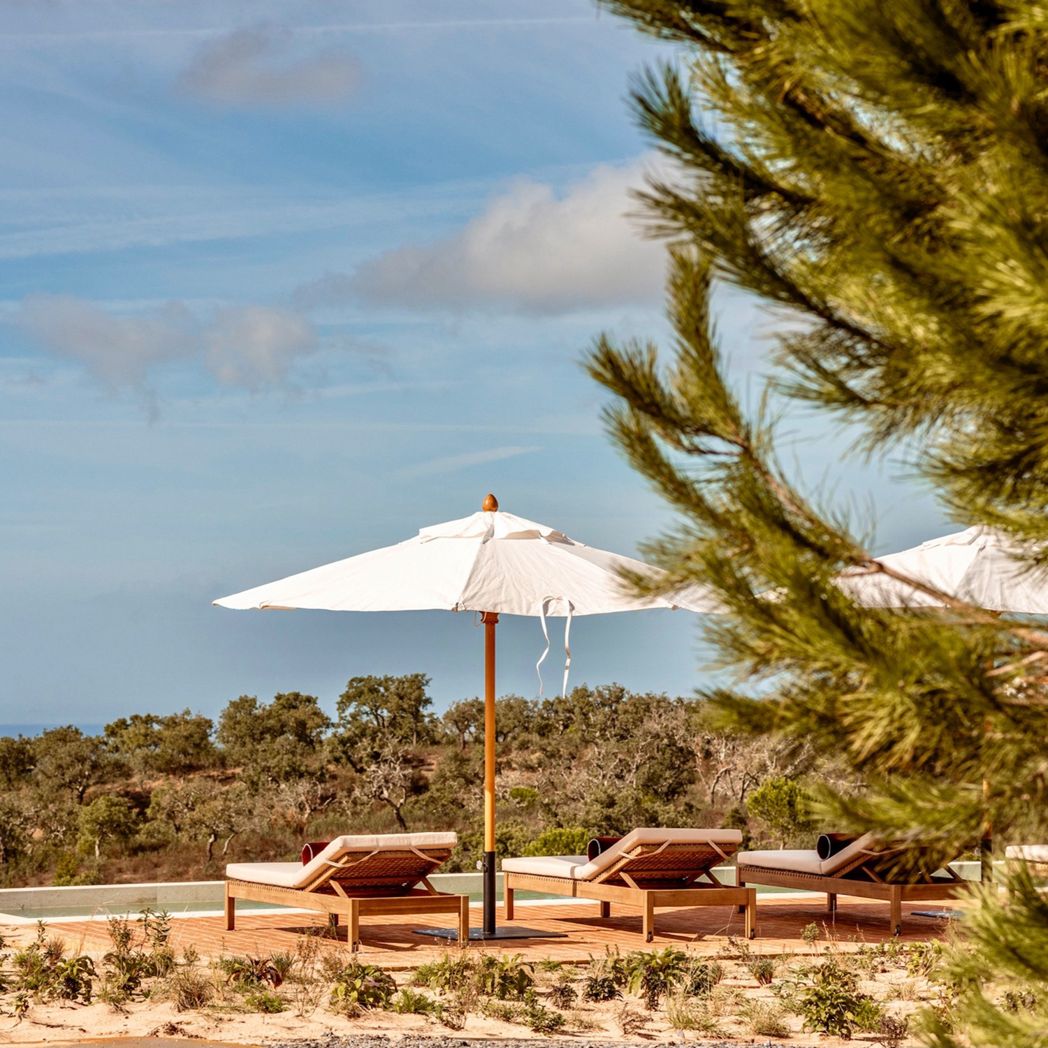 玫瑰岩别墅丨Manuel Aires Mateus-9