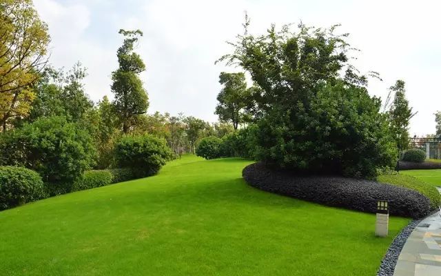 绿化设计中的地被放线手法与植物配置-130