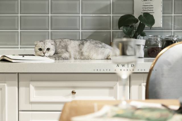 平衡几何与色彩的私宅空间-49