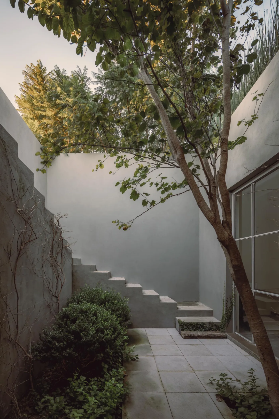 西恩古埃塔之家丨墨西哥丨Max von Werz,Ted Wolter-16