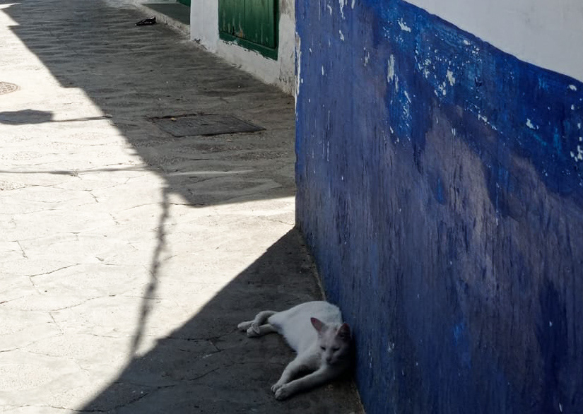 Streets of Assilah-5