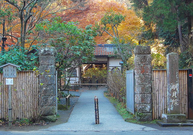 明月院庭园等景观丨日本神奈川-5