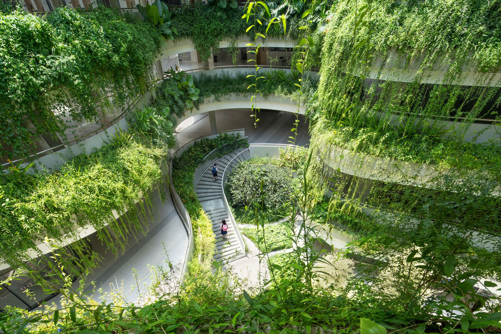 深圳红岭教育集团华富实验学校丨中国深圳丨深圳市建筑设计研究总院有限公司  城市建筑与环境设计研究院-11