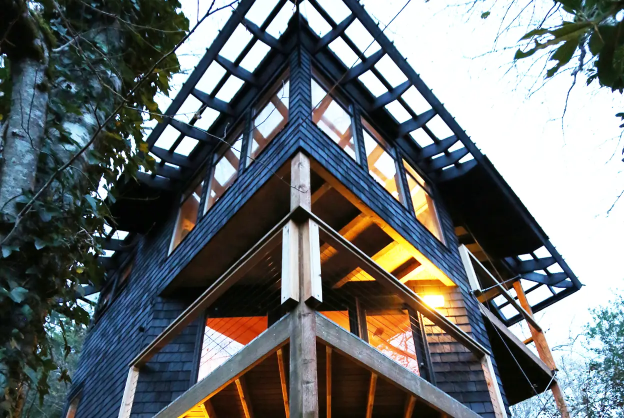 森林之巅的 50 年代现代建筑 | 建筑师 Marvin Witt 的杰作-17