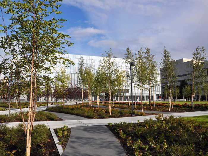 安克雷奇博物馆公共景观-73