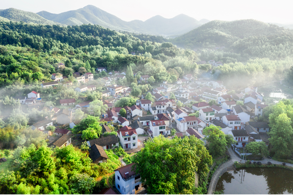 尚品｜南陵县家发镇联三村和美乡村精品示范村和板石岭乡村旅游提升项目：以“桂”为核，绘就农文旅融合新图景-11