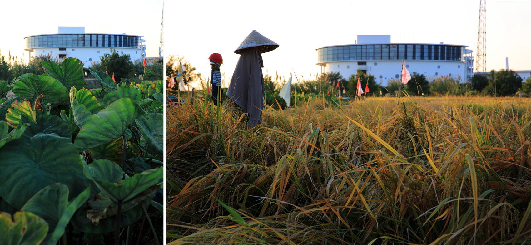 宜兴城市污水资源概念厂 / 清华大学建筑设计研究院有限公司素朴工作室-101