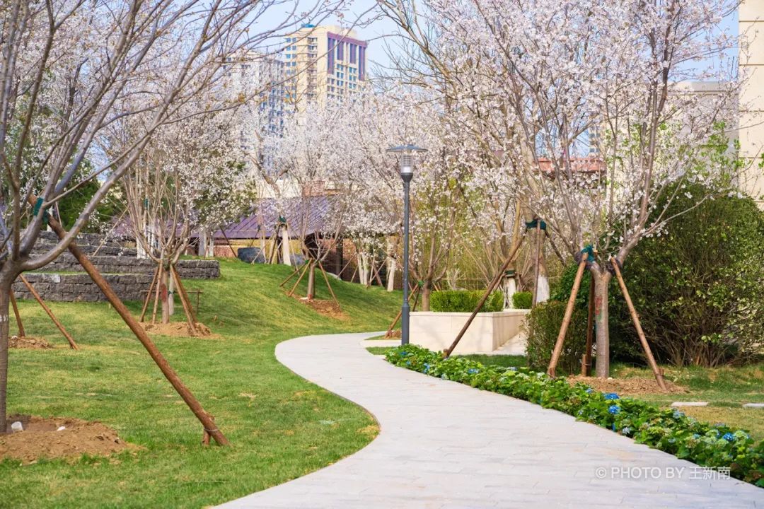 天津万科·翡翠嘉和丨中国天津丨宜德再音(上海)景观设计咨询有限公司,上海天华园林景观有限公司-98