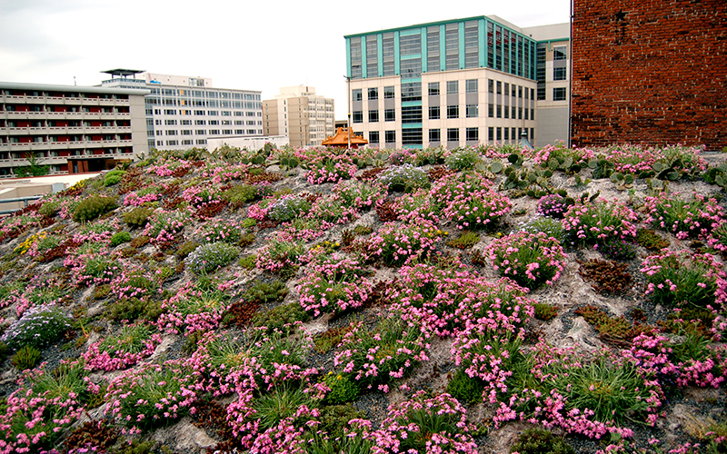 
	Water and Stormwater Management | asla.org
-7