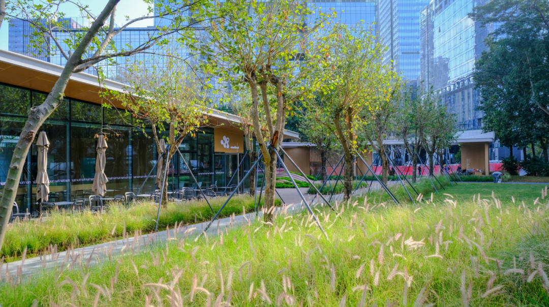 智见 · 云上 | 云之园 CLOUD PARK-110