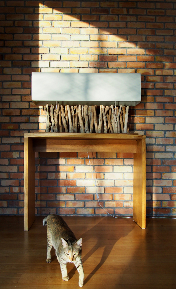 38Mews House  Design Collective Architects-39