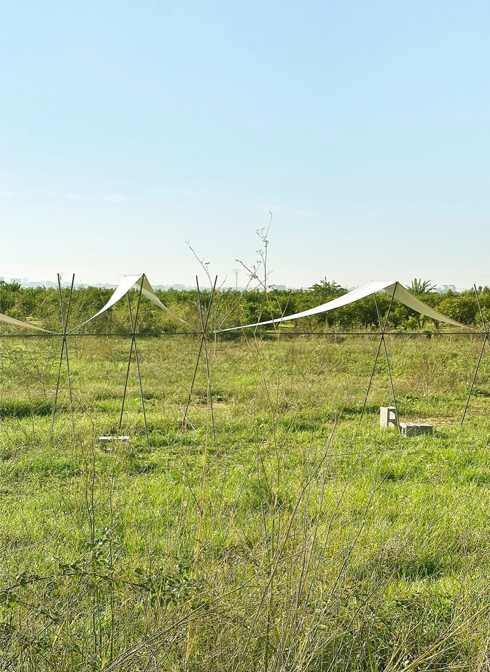 地平线展馆丨厄瓜多尔丨Eletres Studio-89