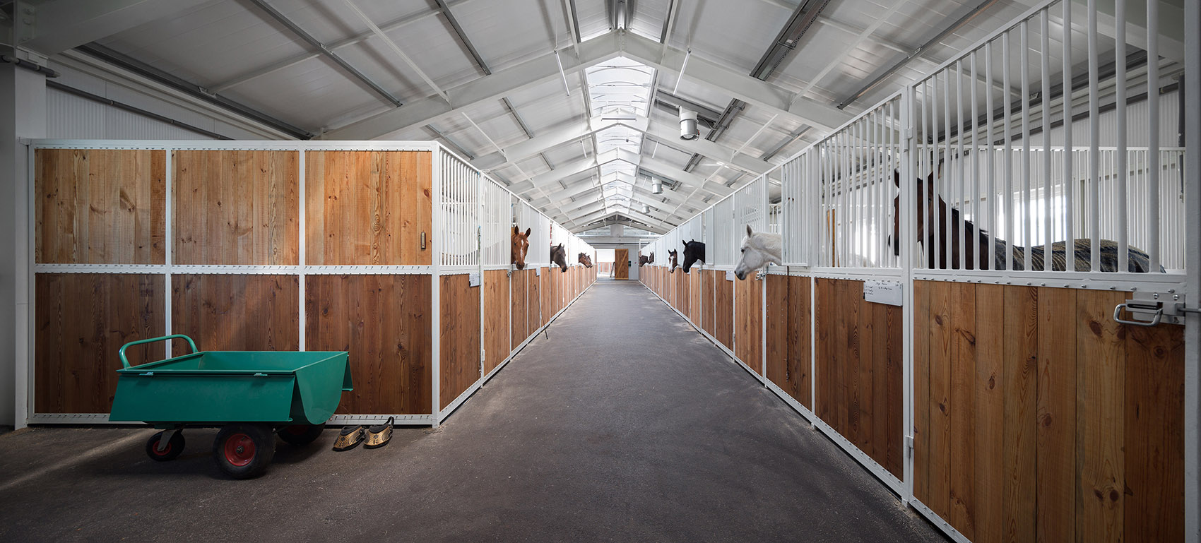 VG马术俱乐部,乌克兰 / Drozdov&Partners-22