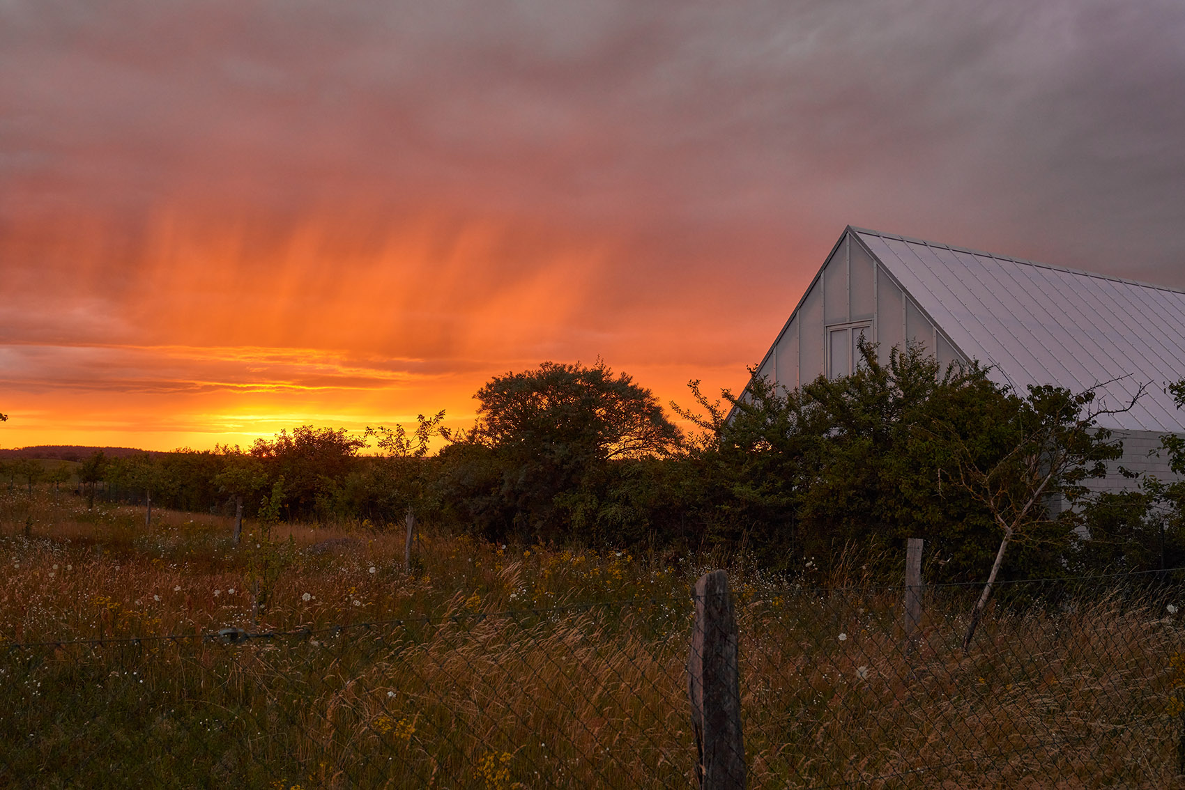 有玻璃温室的住宅丨德国柏林丨Sigurd Larsen-60
