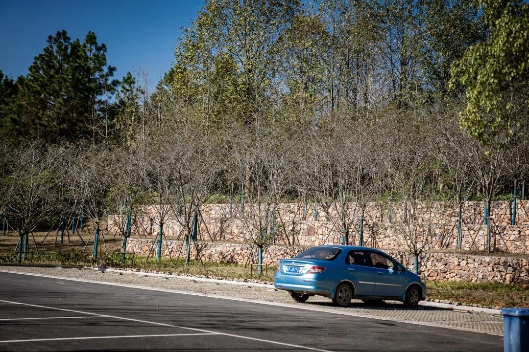 S206 泾县美丽公路环境整治工程丨中国安徽丨上海亦境建筑景观有限公司,上海交通大学设计学院-97