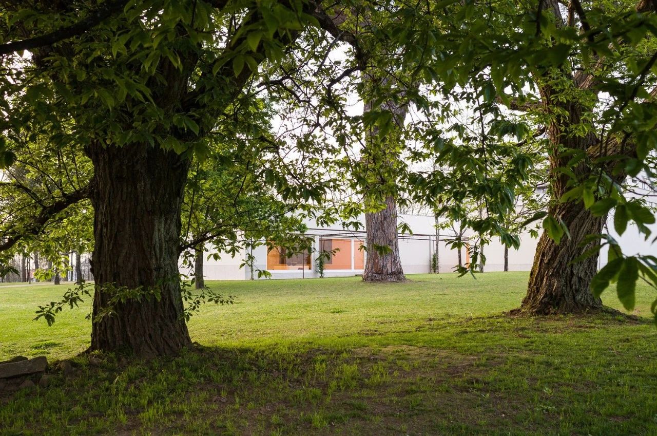 Grama·o 基金会总部丨葡萄牙丨西扎-27