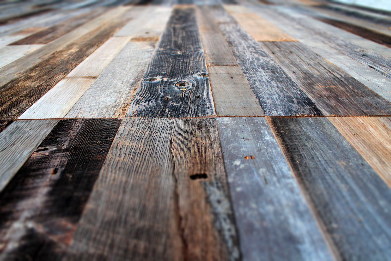 辛辛那提莎士比亚剧团剧院-54