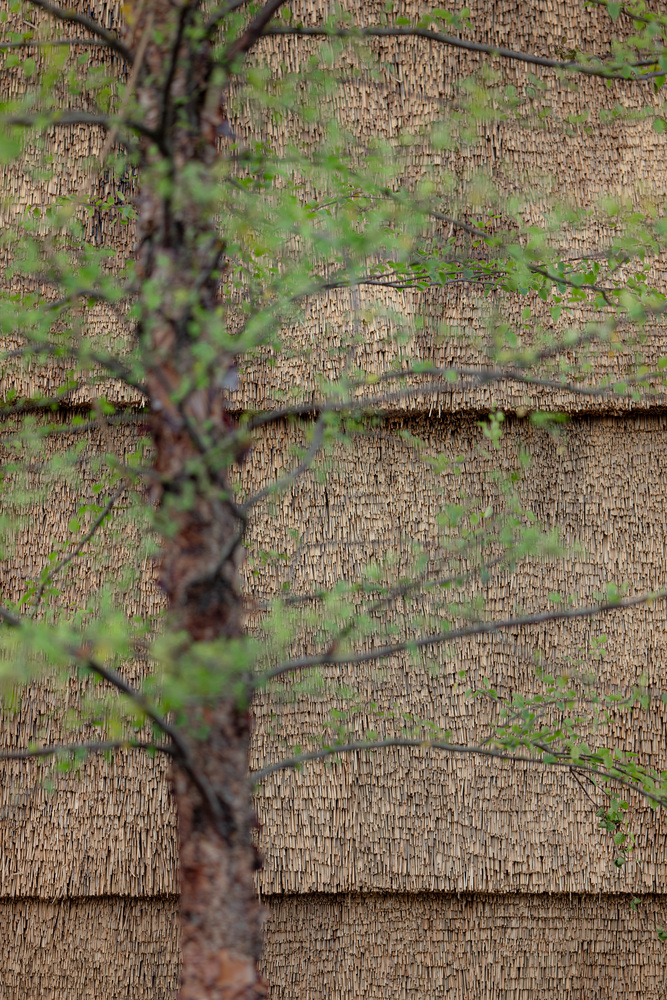 丹麦草砖茅草亭丨RØNNOW LETH & GORI 和 CINARK-21