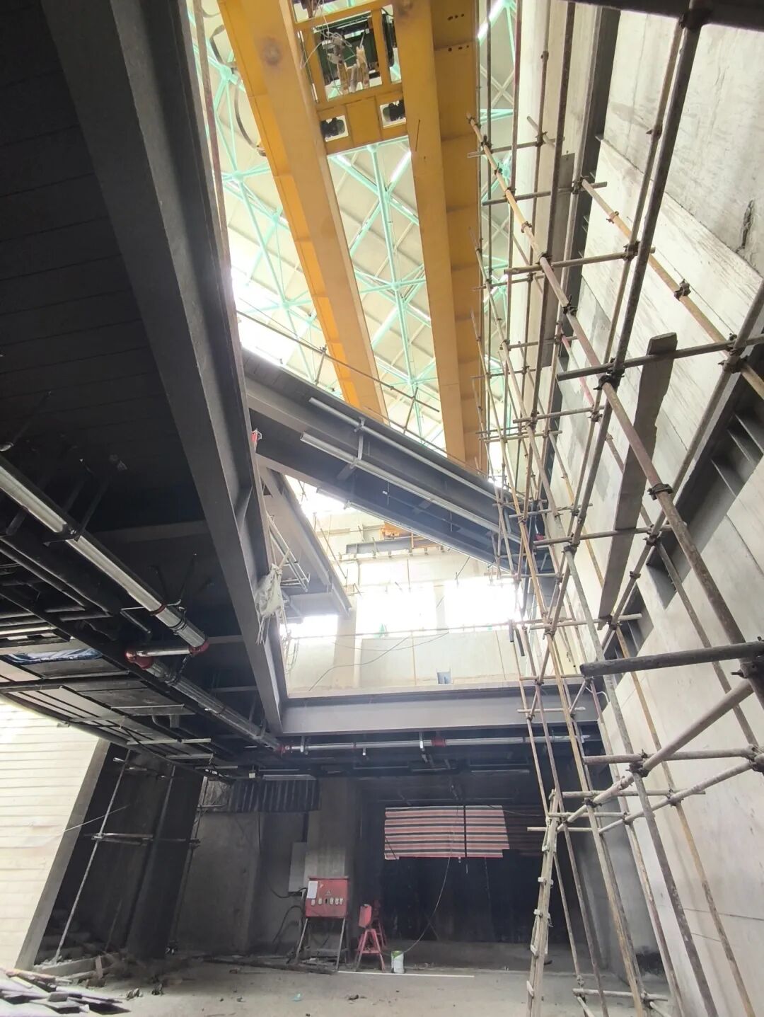 期待！天大校内将新开一座博物馆！-22