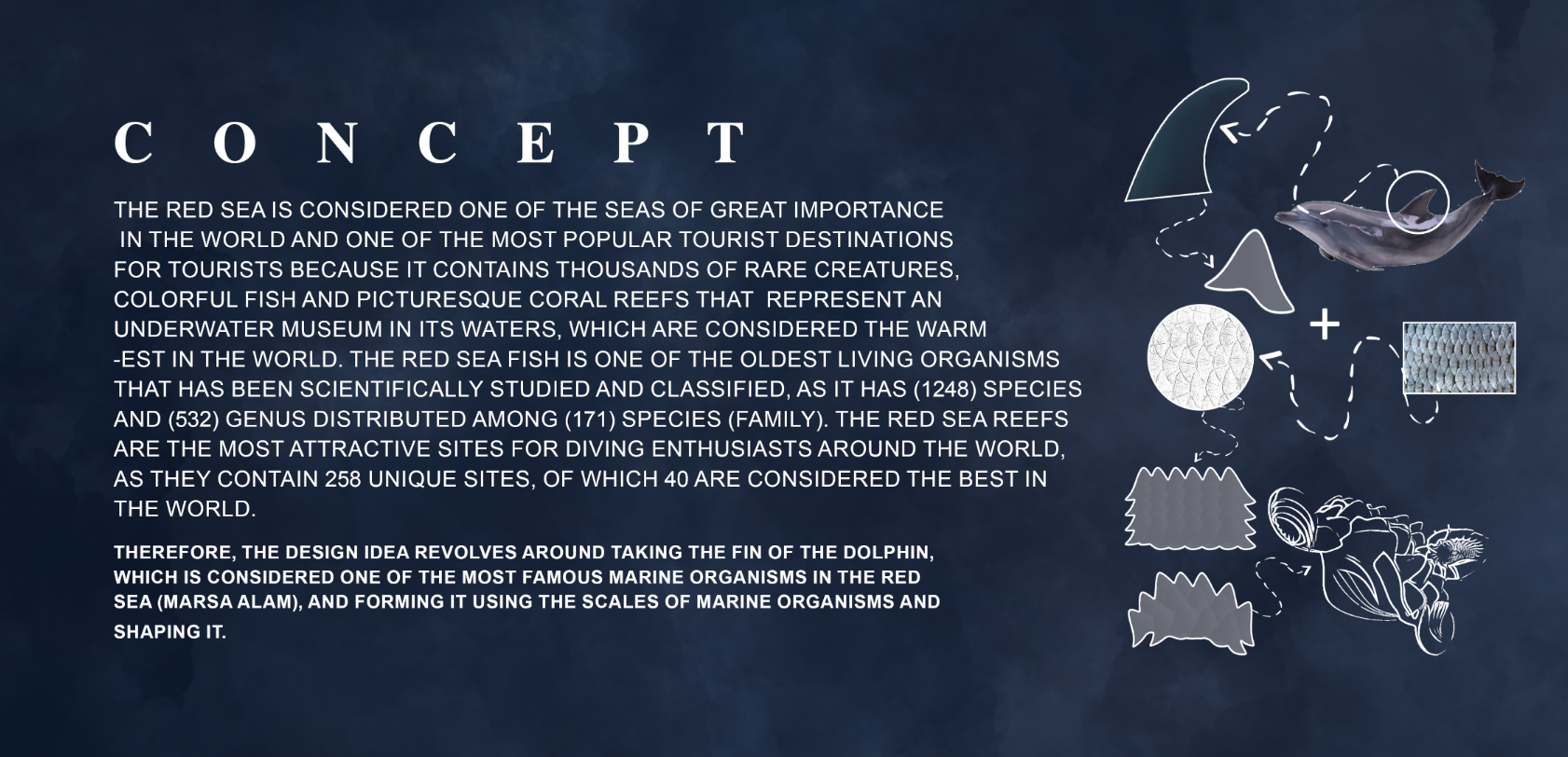 海蓝宝石毕业设计丨埃及丨埃及科技大学建筑系-13