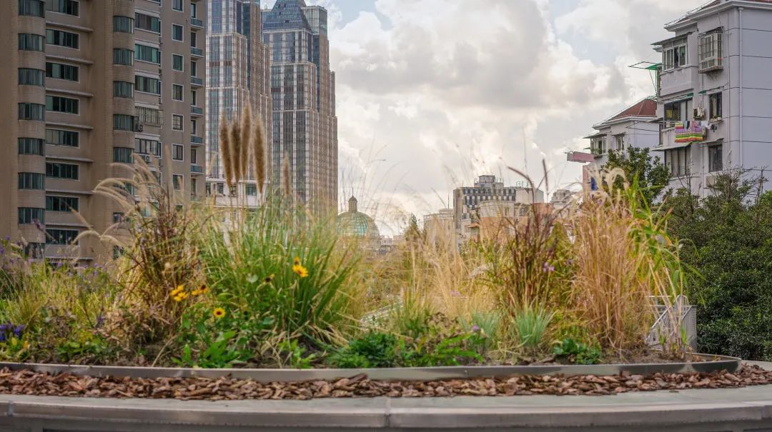 植物公寓 · 客厅里的生态艺术装置丨中国上海丨刘宇扬建筑事务所-57